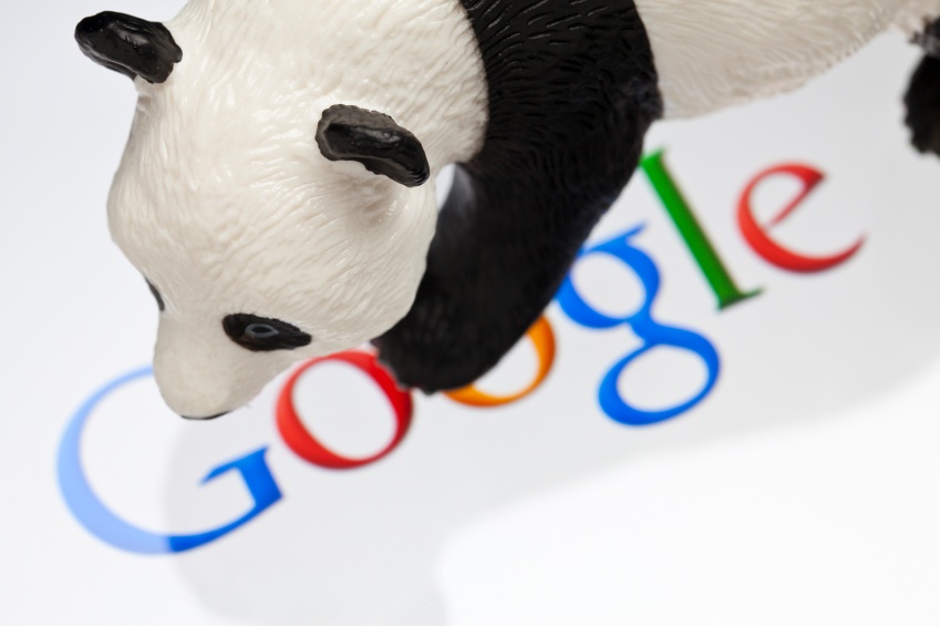 Google Panda 3.3