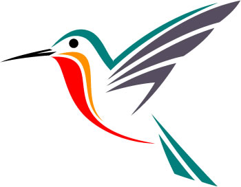 Google Hummingbird